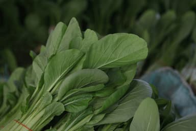 Fresh Spinach